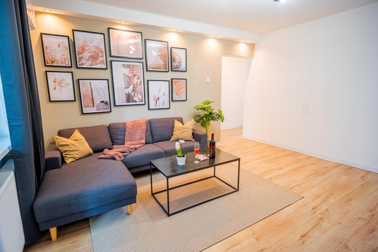 Spacious Newly Renovated 2Br Apartments With Balcony 布加勒斯特 外观 照片